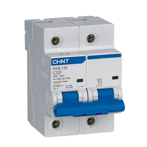 INTERRUPTOR AUT. TERMOMAGNETICO PARA RIEL BIPOLAR 2P 100A 230VAC 10KA CURVA C